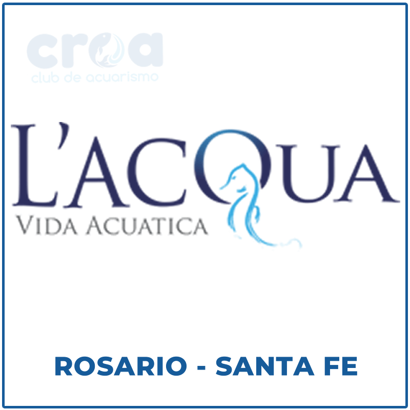 Acuario L’Acqua Vida Acuática