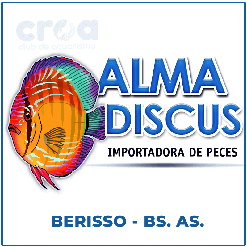 Alma Discus Importadora de Peces