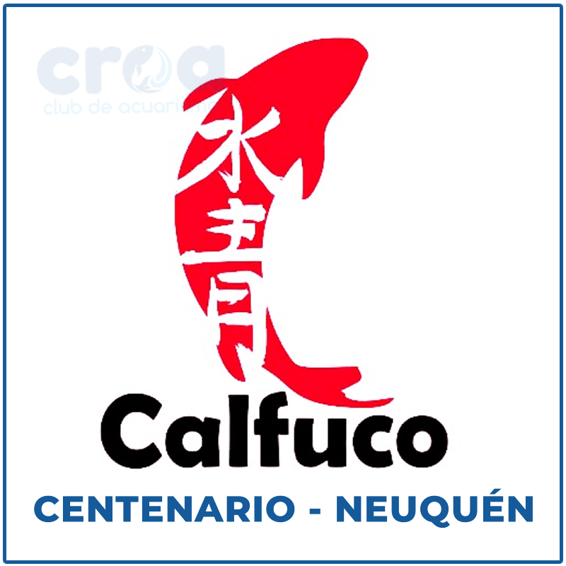 CALFU CO pet shop – acuario