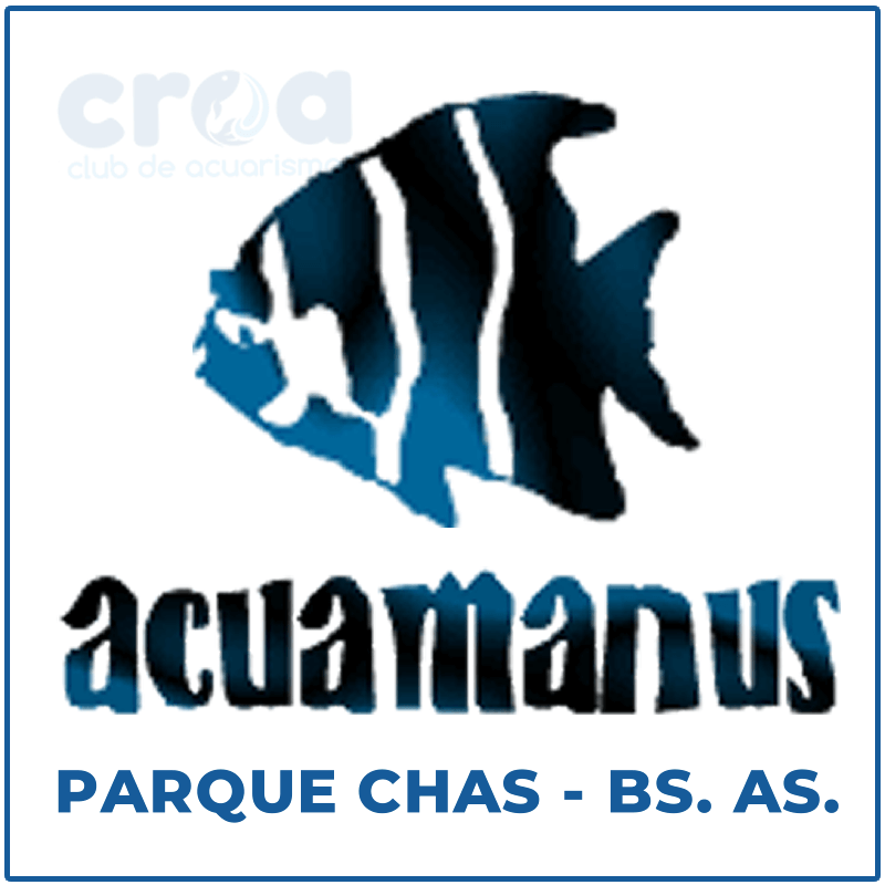 Acuario Acuamanus