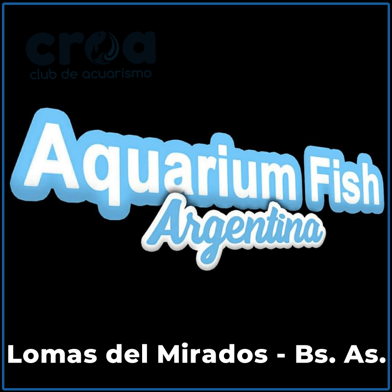 Aquarium Fish Argentina