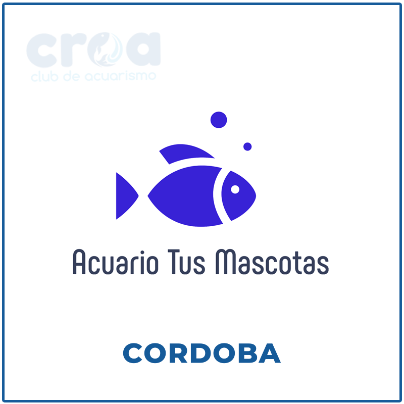 Acuario Tus Mascotas